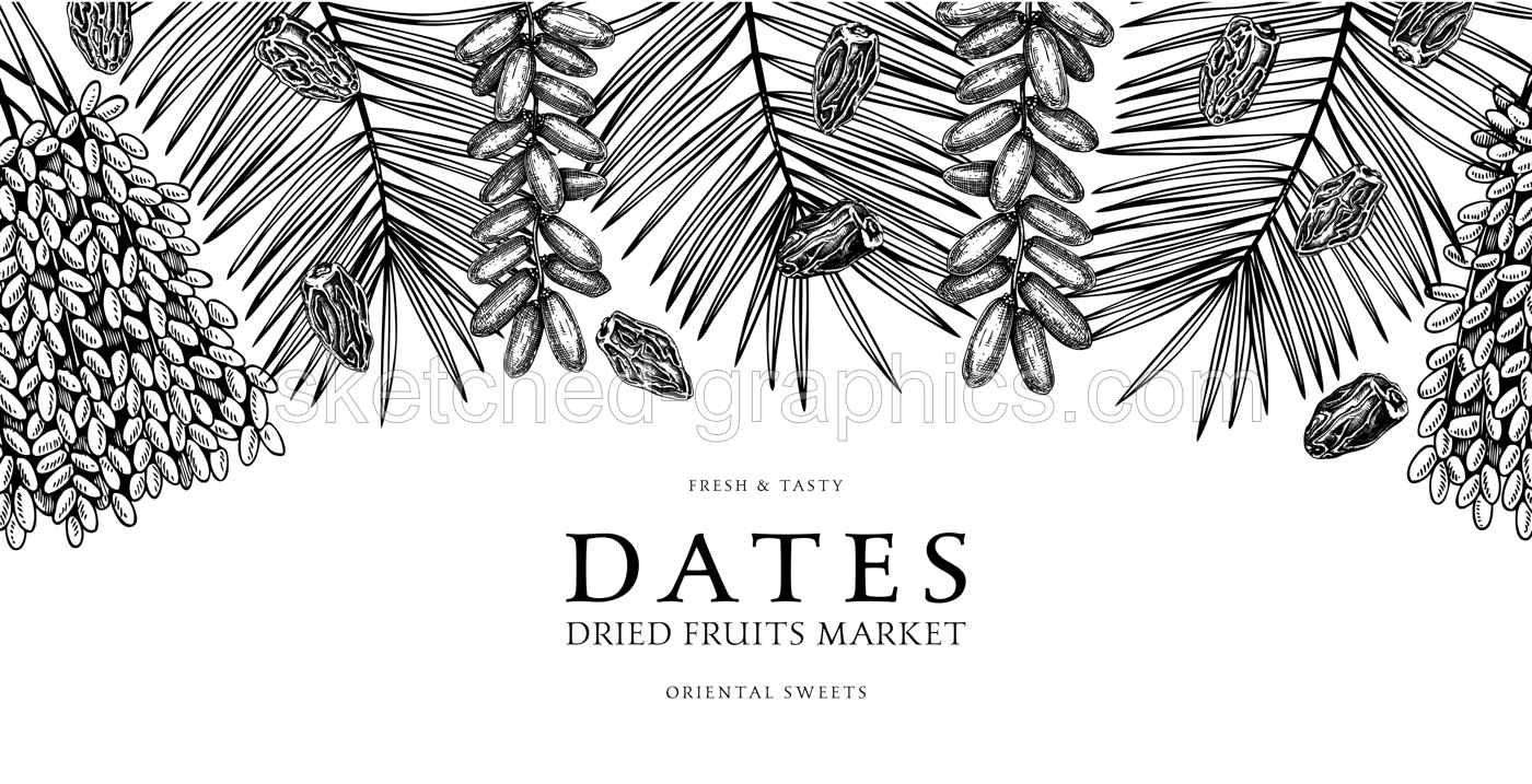 Hand drawn border design with date palm leaves and ripe fruit illustrations. Healthy food ingredients sketches isolated on chalkboard. Oriental sweets vector background. Vintage dried dates background Illustration